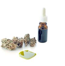 CBD: contra los síndromes Lennox - Gastaut