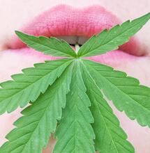 El sufrimiento acerca al cannabis y vos te acercas a ti misma