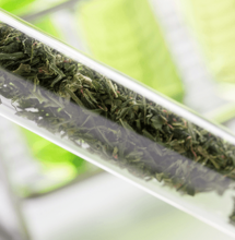 Propiedades de CBC, CBG, CBDV, CBDA, THCV y THCA.