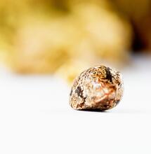 Das erste zertifizierte Bio-Cannabis-Saatgut der Welt