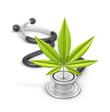 Medizinalcannabis: Erste Charge aus Deutschland in der Apotheke