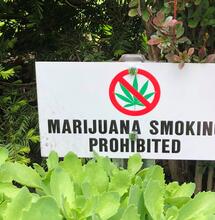 sign against marijuana. 