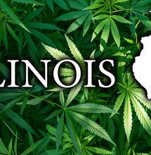 In Illinois cancellate sanzioni amministrative e reati di lieve entità sulla cannabis