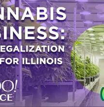 L'Illinois e legalizzazione della cannabis, venduti $ 3,2 milioni nel primo giorno