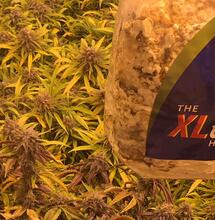 CO2: el ingrediente que falta