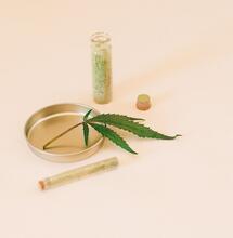 Adaptogens vs Cannabinoids: Comparing Two Major Pillars of Natural Stress Support