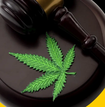 Legalisierung in Deutschland Teil VI