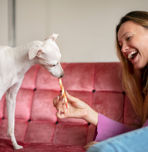 Essential Tips for Selecting the Perfect CBD Oil for a Good Night’s Sleep