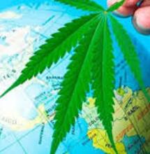 Segnali di Fumo: successo a Ferrara per l'evento di Meglio Legale