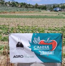 Proyecto-social-Canna