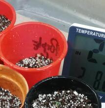 Inicia tu cultivo invernal de marihuana indoor