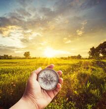 Investeren in wietaandelen, slim of niet?