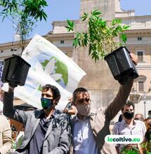 #iocoltivo: «Personalmente credo che sia prioritario garantire l’autoproduzione.» Intervista all’Onorevole Matteo Mantero, Movimento 5 Stelle