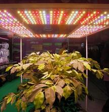 ¿Cómo calcular la factura de luz de tu indoor?