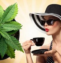 5 Benefits Of Cannabis Tea