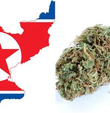 map of North Korea on the left of the collage photo and a chunk of weed that looks close enough to the country's shape on the right. 