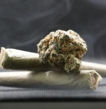 Wer hat den größten Joint der Welt gebaut?