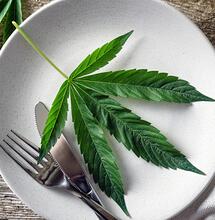 Cannabis Cooking