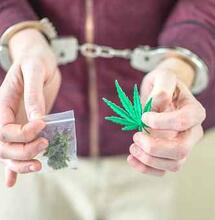 ¿Por qué legalizar en Chile?