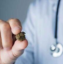 Dosifica la marihuana