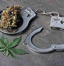 Marcha Mundial Marihuana Ecuador 2019