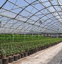 Preventing Salt Accrual In Your Growing Medium