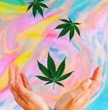 Il nuovo libro “High on Design”