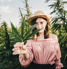 Las seis más deliciosas