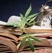 El presidente ecuatoriano pro discusión