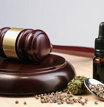 Liberal, liberal, es la forma de luchar