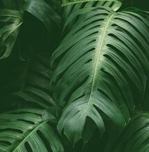 Deep Cheese - Que te la den con queso