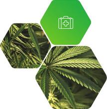 Cannabinoid extracts and by-products for medicinal uses