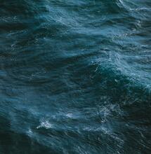 NOT ONLY REALLY, REALLY, REALLY FRESH SEA AIR