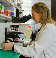 Jak konopí zabíjí nádorové buňky