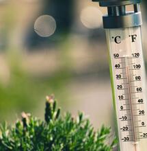 La Importancia de la Temperatura del Agua de Riego