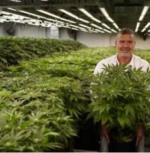 Lo mejor de Soft Secrets 2021