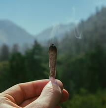 La Thailandia cerca di vietare l'uso ricreativo di cannabis dopo averla depenalizzata