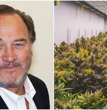 Jim Belushi's Journey as Cannabis Farmer