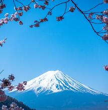 Japans Cannabismarkt versechsfacht sich zwischen 2019 und 2023