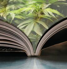 Polizia a scuola durante l’assemblea sulla cannabis