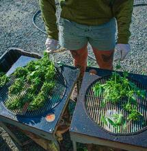 Cortar, secar, y conservar correctamente