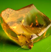 Jelly Hash