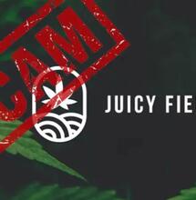 juicy fields investors scam.