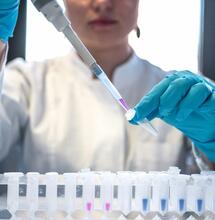 El poder antiinflamatorio del cannabis