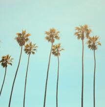 Legalización-de-marihuana-en-California 