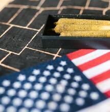 Trump y Kamala Harris por la legalización de la marihuana