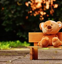 teddy bear on bench