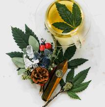 ABC de los terpenos: La guía definitiva