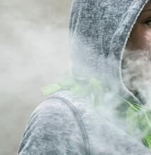 Kleine Kulturgeschichte des Hanfrauschs