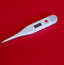 koronavirus a léčebné konopí